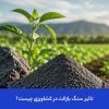 نقش سنگ بازالت در کشاورزی